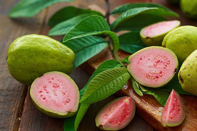 Manfaat Daun Jambu Biji untuk Kesehatan Tubuh