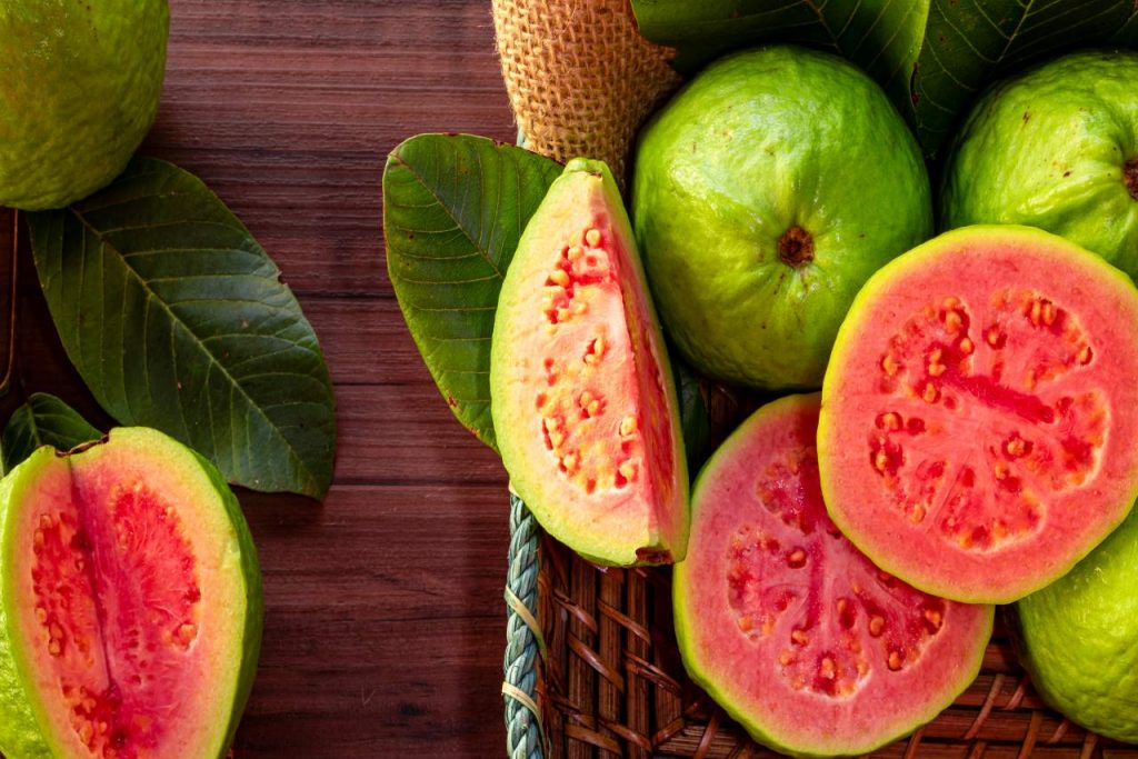 4 Manfaat Daun Jambu Biji untuk Kesehatan Tubuh